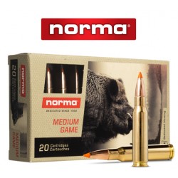 BALA NORMA 308 WIN 170GR TIP STIKE