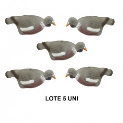 CIMBEL PALOMA SILUETA