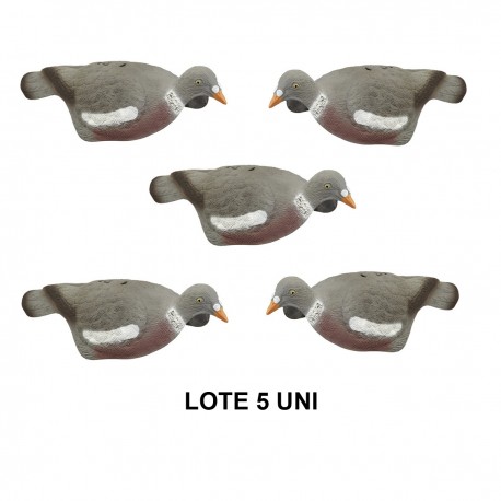 CIMBEL PALOMA SILUETA